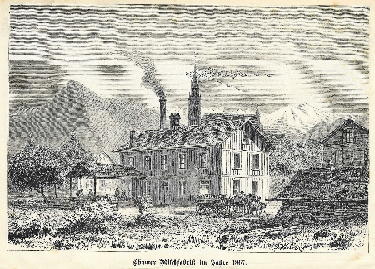 <p>Chamer Milchfabrik im Jahre 1887 , Verladeplatz Pferdeführwerke   , 498</p>